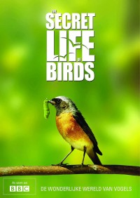 Bí ẩn cuộc sống loài chim The Secret Life of Birds