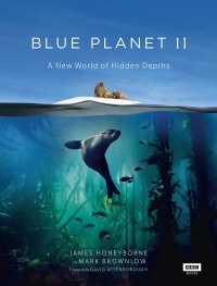 Đại Dương Sâu Thẳm 2 The Blue Planet 2