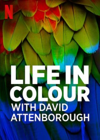David Attenborough: Sự sống đầy màu sắc Life in Colour with David Attenborough