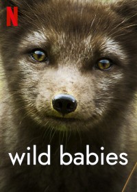 Động vật chào đời Wild Babies