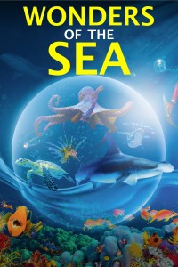 Kỳ Quan Của Đại Dương Wonders of the Sea 3D