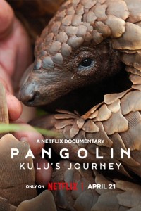 Loài tê tê: Hành trình của Kulu Pangolin: Kulu's Journey