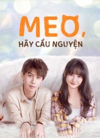Meo, Hãy Cầu Nguyện Make a wish