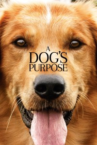 Mục Đích Sống Của Một Chú Chó A Dog's Purpose
