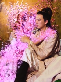 Nàng Vợ Yêu Nữ Của Ta My Succubus Wife