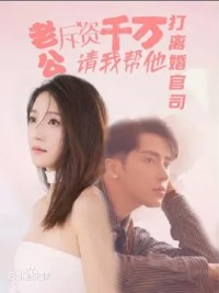 Người Chồng Ly Hôn Sau Một Đêm Đam Mê 一夜激情后离婚的丈夫