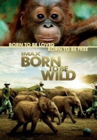 Những Loài Vật Mồ Côi Born to Be Wild