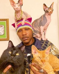 Những người yêu mèo Cat People