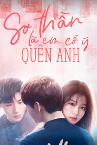 Sơ Thần, Là Em Cố Ý Quên Anh Irreplaceable love