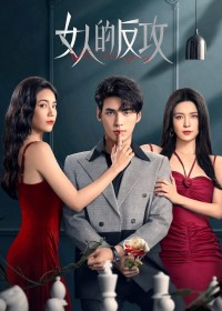 Sự Phản Công Của Phụ Nữ The Fevengers