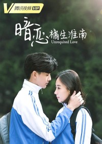 Thầm yêu: Quất sinh Hoài Nam Unrequited Love