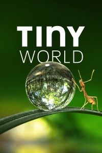 Thế Giới Siêu Nhỏ (Phần 1) Tiny World (Season 1)