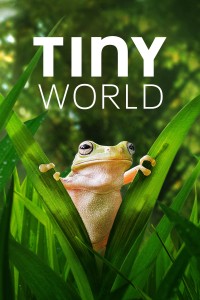 Thế Giới Siêu Nhỏ (Phần 2) Tiny World (Season 2)