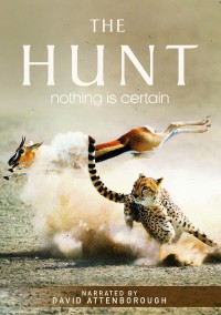 The Hunt The Hunt