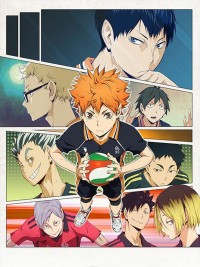 Thiếu niên bóng chuyền! Phần 2 Haikyu!! 2nd Season