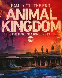 Vương quốc động vật (Phần 6) Animal Kingdom (Season 6)